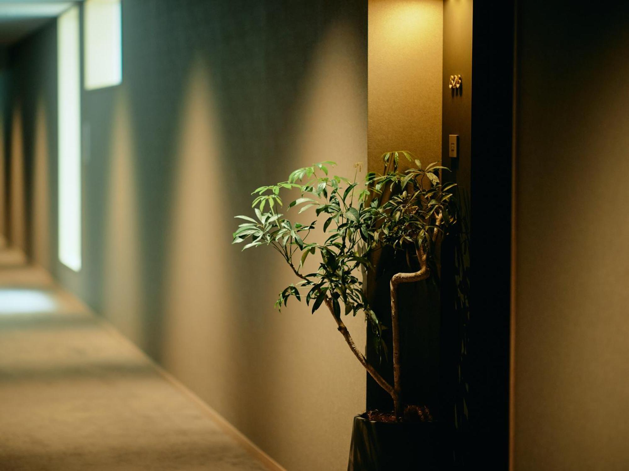 Good Nature Hotel Kyoto Rum bild A corridor in a hotel