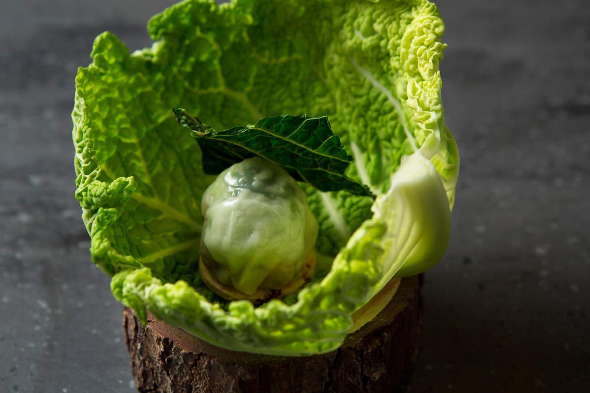 Good Nature Hotel Kyoto Exteriör bild A cabbage leaf with a ball of ice